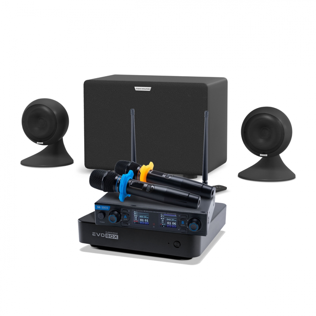 караоке-комплект EVOBOX + EvoSound Sphere 2.1 в Чехове