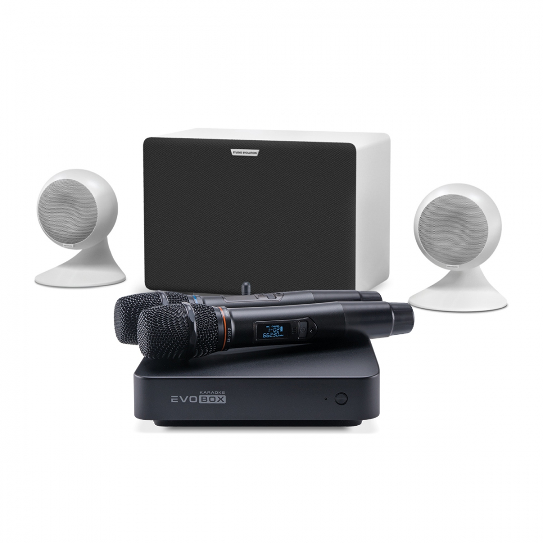 караоке-комплект EVOBOX Classic + EvoSound Sphere 2.1 в Чехове
