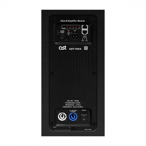 Активная акустическая система AST-310A в Чехове