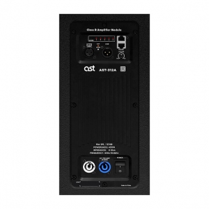 Активная акустическая система AST-312A в Чехове