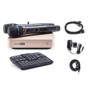 EVOBOX Plus караоке-система для дома в Чехове